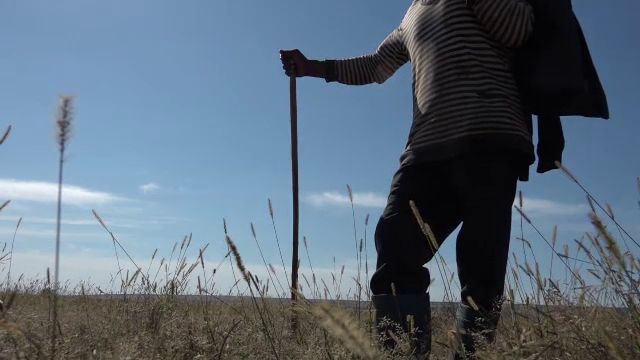 Bărbat din Vaslui, mort după ce a fost împuns de o vacă în picior