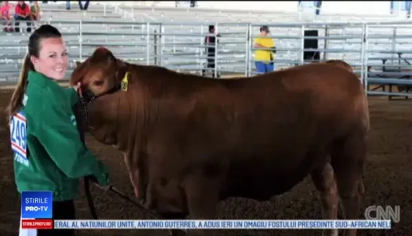 Tehnologia care le permite oamenilor paralizați să meargă din nou