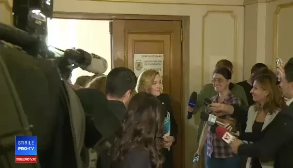 Ministrul Carmen Dan, declaratii dupa audierile din comisia de aparare din Senat