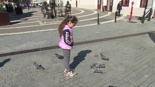 Cum au reușit autoritățile să scape de miile de porumbei dintr-un orășel spaniol