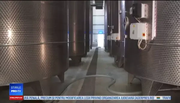 Borșul a devenit produs de export în Statele Unite sau Canada