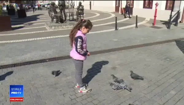 Amenda pe care o riscă cei care hrănesc porumbei. Fac mizerie și sunt purtători de boli