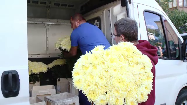 Producătorii români de flori se plâng că statul nu-i ajută. ”Florile străinilor rezistă mai mult”