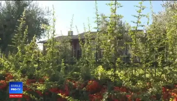 Mărturiile italienilor atacați cu bestialitate de 4 români. Poza publicată de Salvini