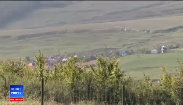 Plantație de canabis în Iași. Ce le spuneau traficanții celor plătiți să aibă grijă de cultură