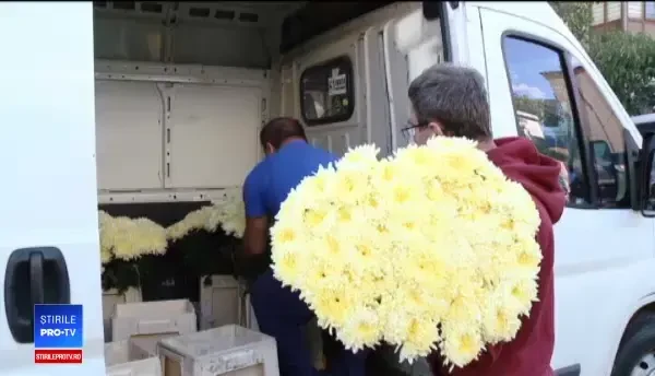 Producătorii români de flori se plâng că statul nu-i ajută. Florile străinilor rezistă mai mult