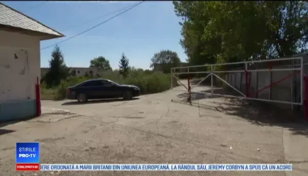 Un fermier din Galaţi a observat că porcii lui au un comportament ciudat. Ce a urmat