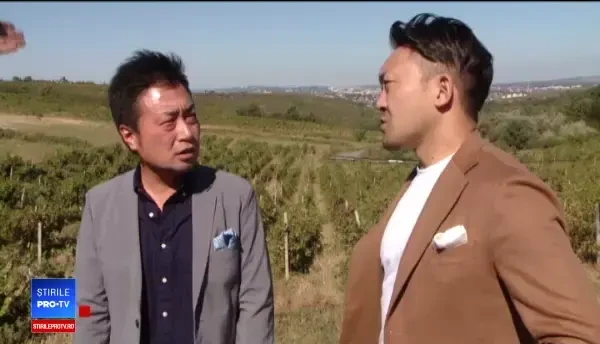 Doi japonezi învață la Iași să facă vinuri ca în România. ”E aromat, sexy și merge cu sushi”