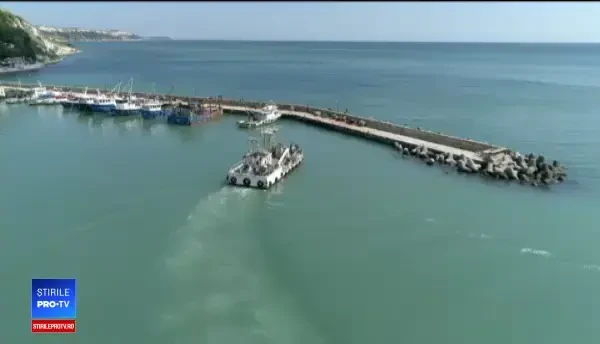 Afacerea la care bulgarii ne dau clasă. Singura fermă din România, închisă inexplicabil acum 2 ani