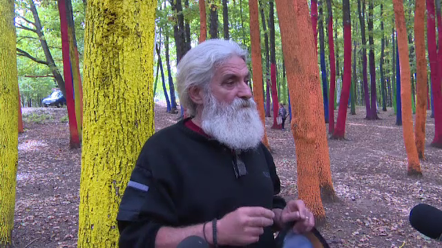 Mesajul artistului care a creat "pădurea colorată" din Gorj. A făcut și cuiburi