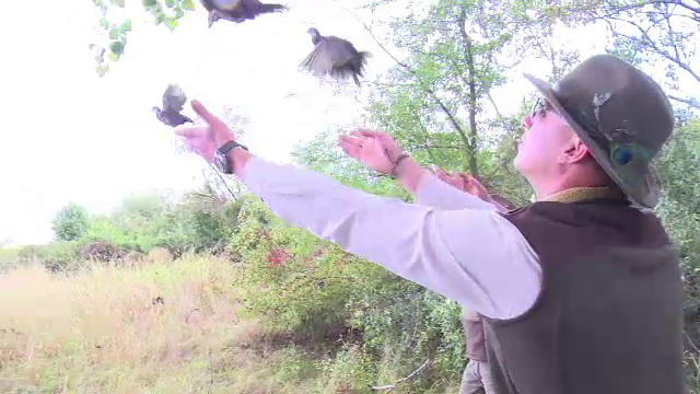 100 de fazani din Ungaria au fost eliberați de vânători pe un domeniu din Bihor