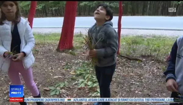 Mesajul artistului care a creat