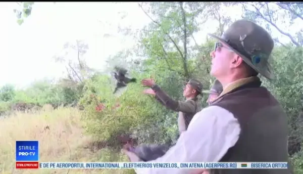 100 de fazani din Ungaria au fost eliberați de vânători pe un domeniu din Bihor