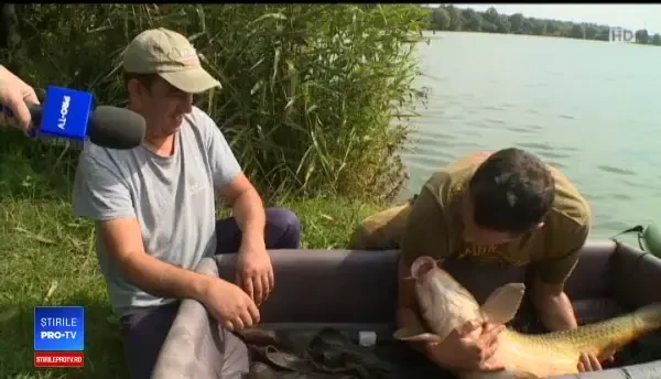 Noul record european la crap, monstrul prins lângă Capitală. ”L-am cântărit de faţă cu toţi”