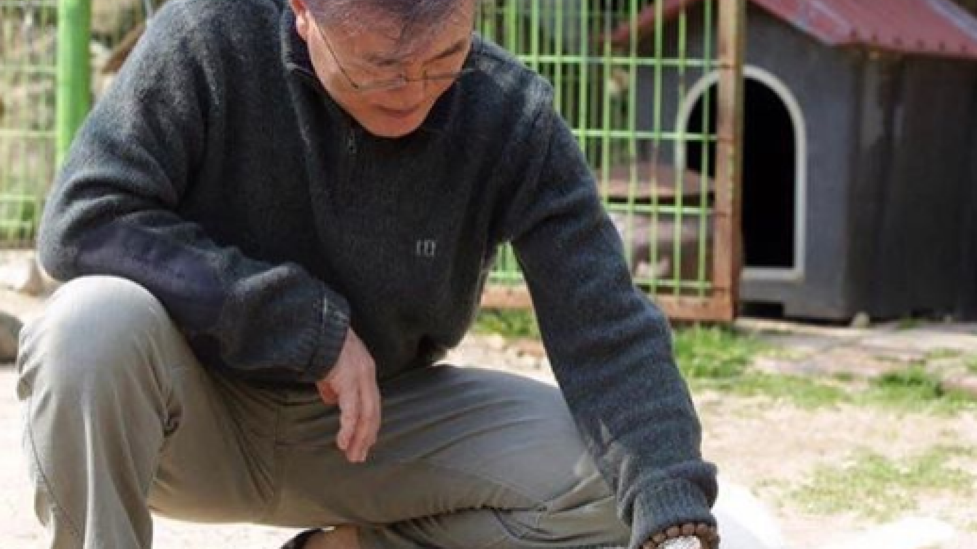 Kim Jong-un i-a dăruit lui Moon Jae-in doi câini. Ce simbolizează gestul