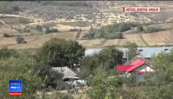 Un bărbat și-a înjunghiat socrul în Vaslui. Vecin: „Nu trebuia să dea cu cuțitul”