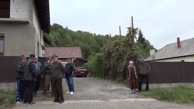 Doi soți din Mureș au fost atacați de urs în gospodărie. Vecinii au auzit țipete și i-au ajutat