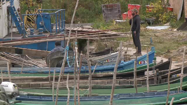 Milioane de euro, investite pentru a aduce turişti în Deltă. Ce culoare trebuie să aibă pensiunile