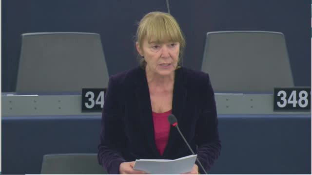Monica Macovei: ”Vă cer să ajutați România. Vrem în Europa”
