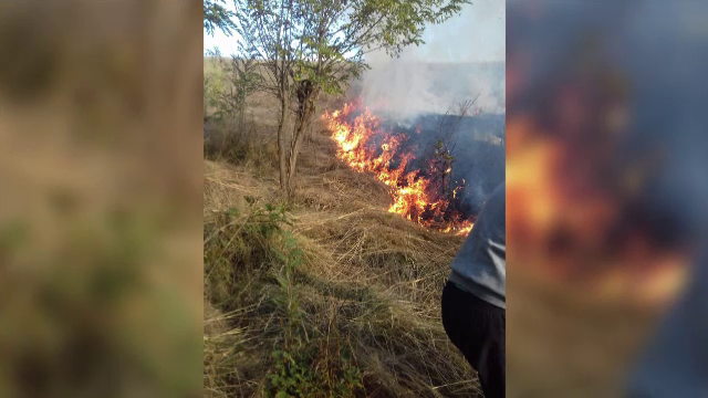 Incendiu violent în Caraș Severin. Există riscul ca flăcările să ajungă la o pădure