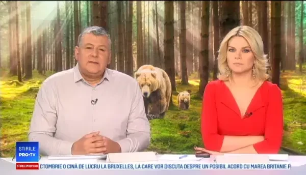 Trei pui de urs înfometați au rămas blocaţi într-o pubelă