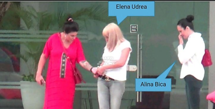 Elena Udrea, Alina Bica