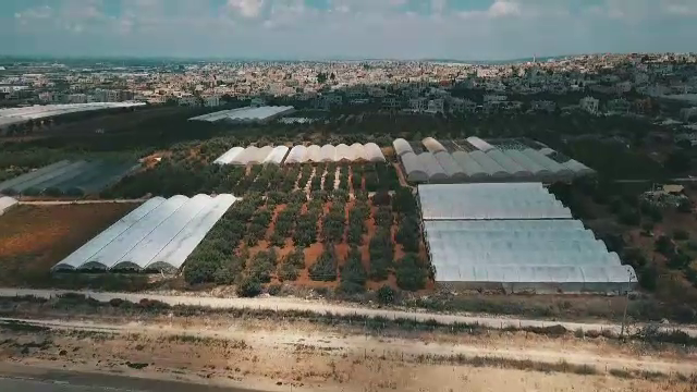 Exemplul Israelului, ţara care a devenit unul dintre cele mai dezvoltate state agrare din lume