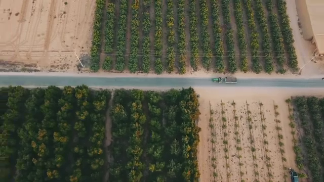 Hrană din piatră seacă