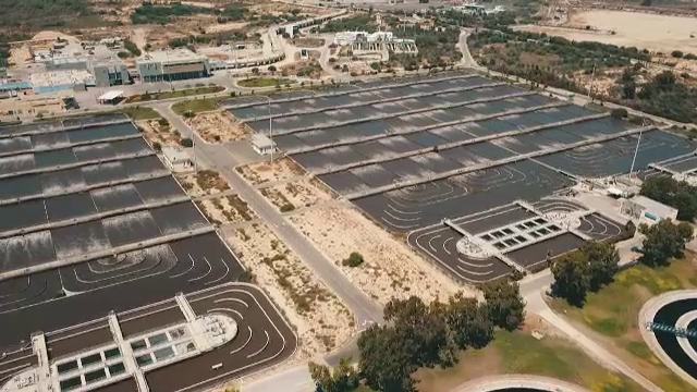 Hrană din piatră seacă