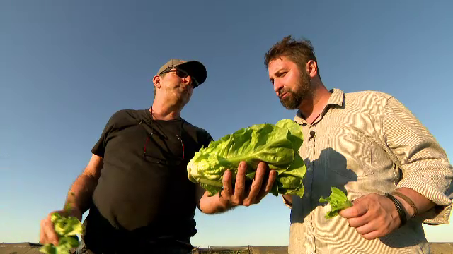 Hrană din piatră seacă