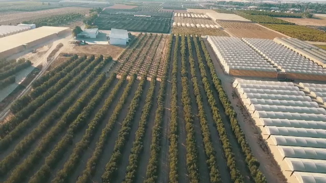 Hrană din piatră seacă