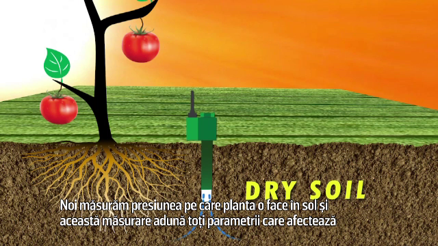 Cum a ajuns Israelul unul dintre cei mai mari exportatori agricoli în Europa, în ciuda unei naturi potrivnice