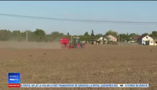 Agricultor bătut cu sălbăticie de câțiva hoți de cereale. Primarul comunei a intervenit cu focuri de armă