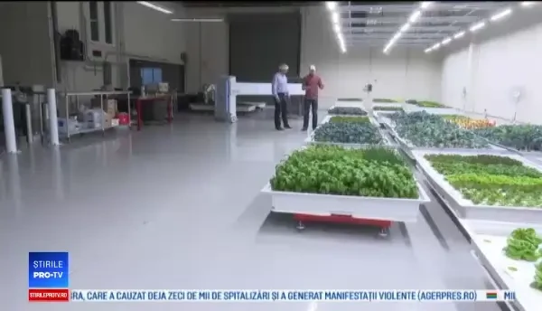 Lipsa forței de muncă în agricultură l-a determinat pe un fermier să construiască roboți