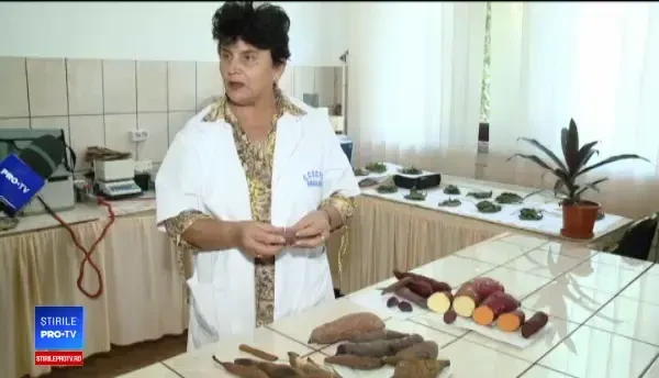 Leguma apreciată în America Centrală, cultivată acum și la noi. Costă 7 lei/kg