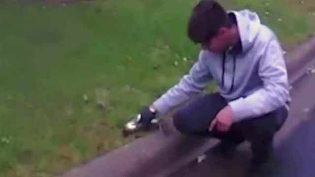 Un adolescent a resuscitat o veveriță pe care o lovise cu mașina