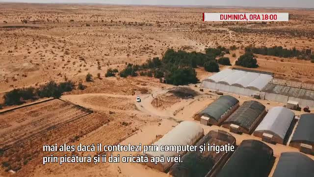 Miracolul din deșert. Din piatră seacă, israelienii obțin legume și fructe cu care-și hrănesc întreaga populație