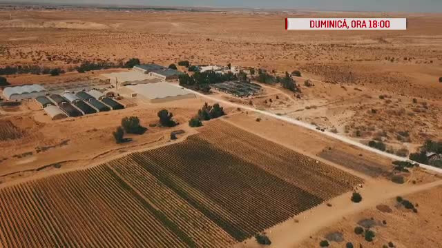 România, te iubesc: ”Hrană din piatră seacă în Israel”. Emisiunea integrală din 7 octombrie 2018