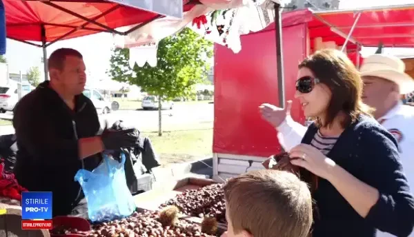 După tratarea pădurilor de castani de o ciupercă, Baia Mare găzduiește Festivalul Castanelor