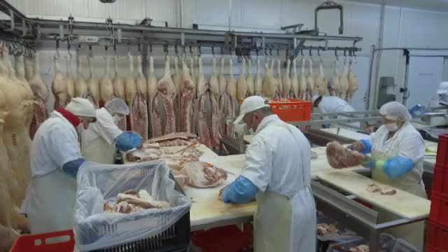 Recolta fermierilor români ajunge în străinătate, iar apoi se întoarce în țară sub formă de carne de porc