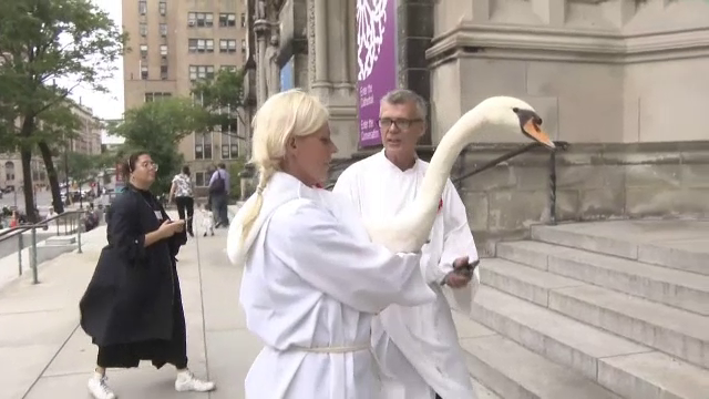 Slujbă de sfințire a animalelor, într-o biserică din centrul orașului New York