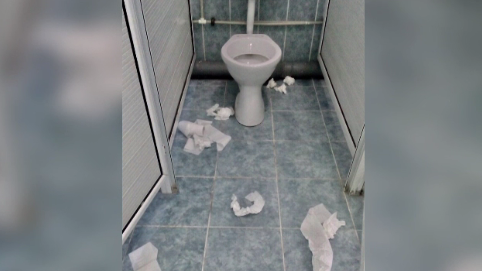 Fără săpun, hârtie şi dezinfectanţi. Toaletele din şcoli, sursă de infecţii