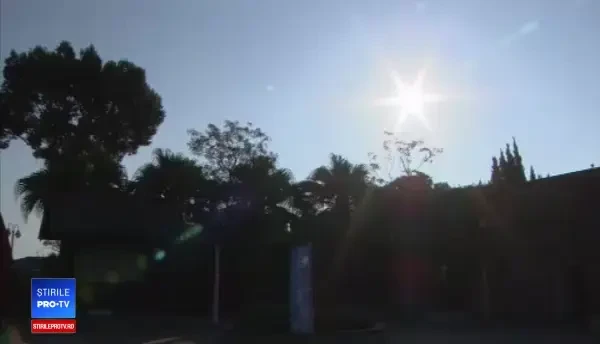 Bărbat ucis de un tigru alb, la ZOO. De ce intrase în cuşca animalului