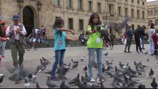 Țara care folosește metode contraceptive pentru a limita creşterea populaţiei de porumbei