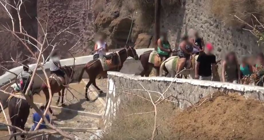 Turiștii care nu mai au voie să se suie pe măgari în Grecia. Ce imagini au creat indignare