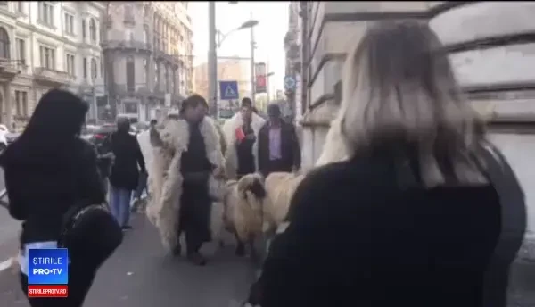 Câțiva ciobani furioși au protestat la Ministerul Agriculturii, furioși pe Petre Daea