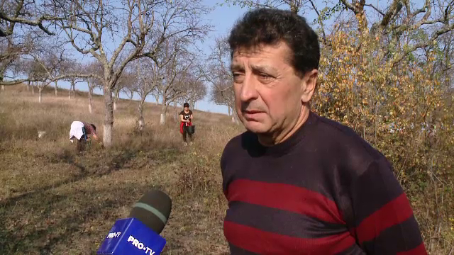 Soluţia originală a unui primar care n-a găsit muncitori ”Tinerii au plecat în Germania, Spania, Italia”