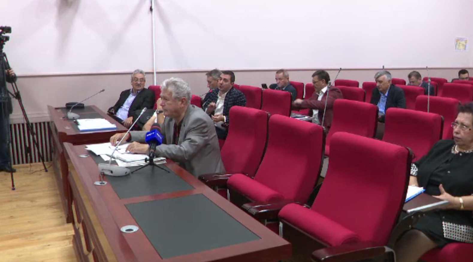 Dăncilă a eliminat 12 asociaţii şi organizaţii din CES, recunoscute pentru poziţiile critice la adresa Guvernului