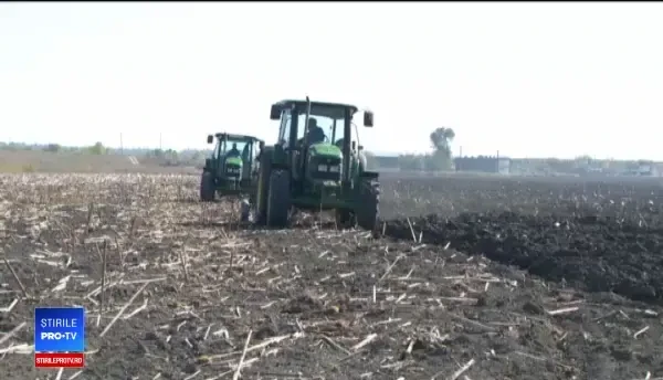 Secetă devastatoare în țară. Fermierii așteaptă ploi de mai bine de o lună și jumătate