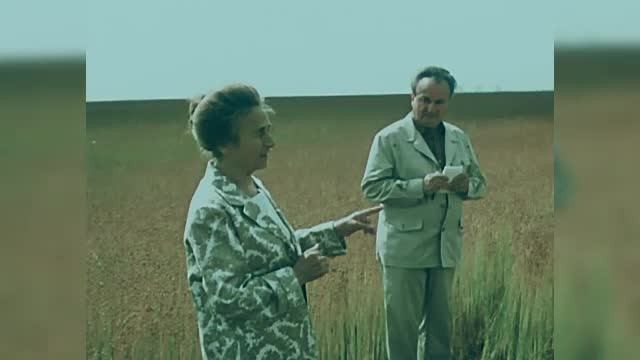 "100 de ani &icirc;n 100 de zile"